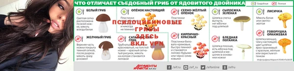 СК Протвино