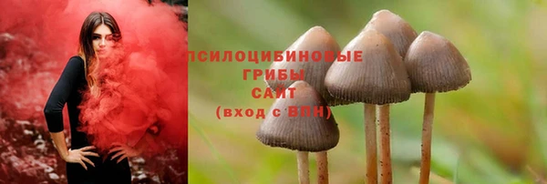 СК Протвино