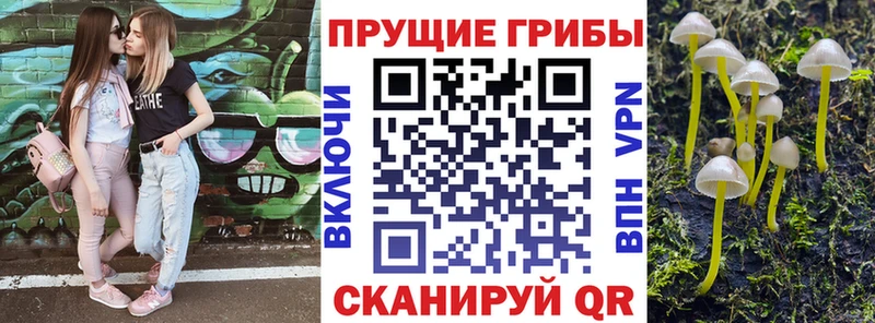 Псилоцибиновые грибы мицелий Усть-Илимск