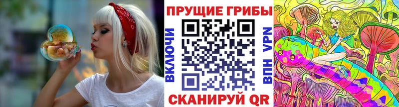 Галлюциногенные грибы мицелий  купить наркотики цена  Усть-Илимск 
